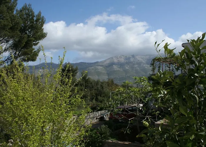 With Parking Space Zrnovska Banja, Korcula - 4426 * Zrnovo