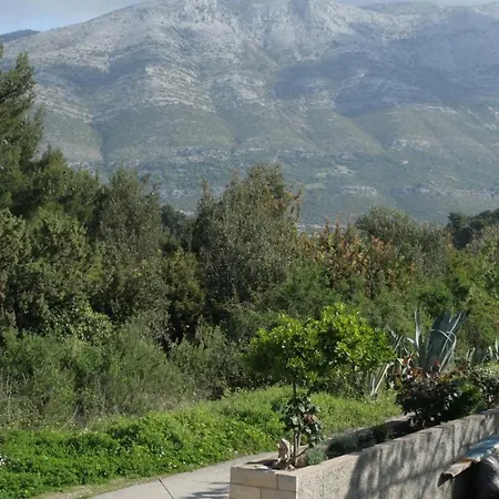 With A Parking Space Zrnovska Banja, Korcula - 4426 Apartment *